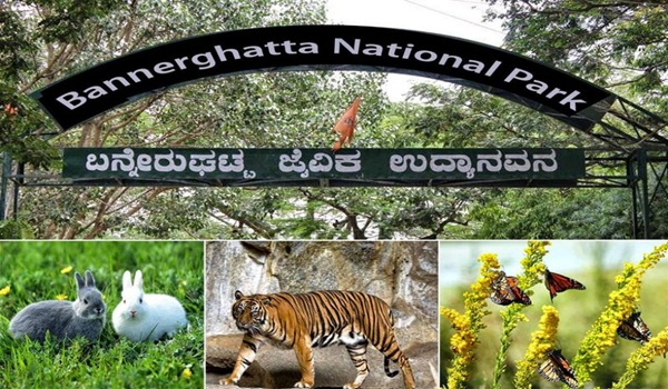 Featured Image of Bannerghatta Biological Park